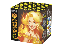 С огоньком! Фейерверк купить в Североморске | severomorsk.salutsklad.ru