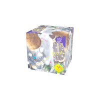 Новогодняя ночь Салют купить в Североморске | severomorsk.salutsklad.ru