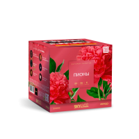 Пионы Салют купить в Североморске | severomorsk.salutsklad.ru