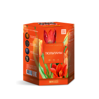 Тюльпаны Салют купить в Североморске | severomorsk.salutsklad.ru