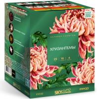 Хризантемы Фейерверк купить в Североморске | severomorsk.salutsklad.ru