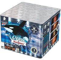 Косатка Фейерверк купить в Североморске | severomorsk.salutsklad.ru