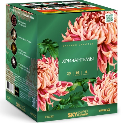 Хризантемы Фейерверк купить в Североморске | severomorsk.salutsklad.ru
