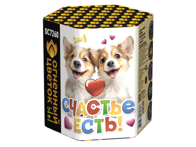 Счастье есть! Салют купить в Североморске | severomorsk.salutsklad.ru